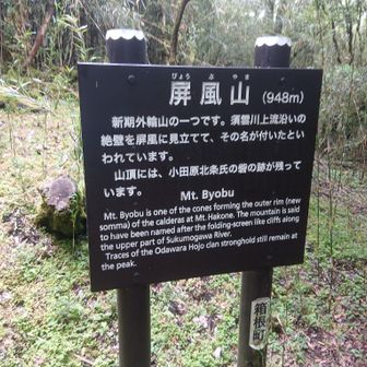 要害山はどこが山頂かわからないまま屏風山についてしまった　要害山の登りは今日一急だった