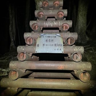 鳳凰山・地蔵岳・観音岳・薬師岳 夜叉神峠から少し下ってその後の急登を登りきってダラダラ歩いてやっと杖立峠´Д`)ﾔｯﾄ‥
前回はグズちゃんと2人だったからボッチだと長く感じる…。