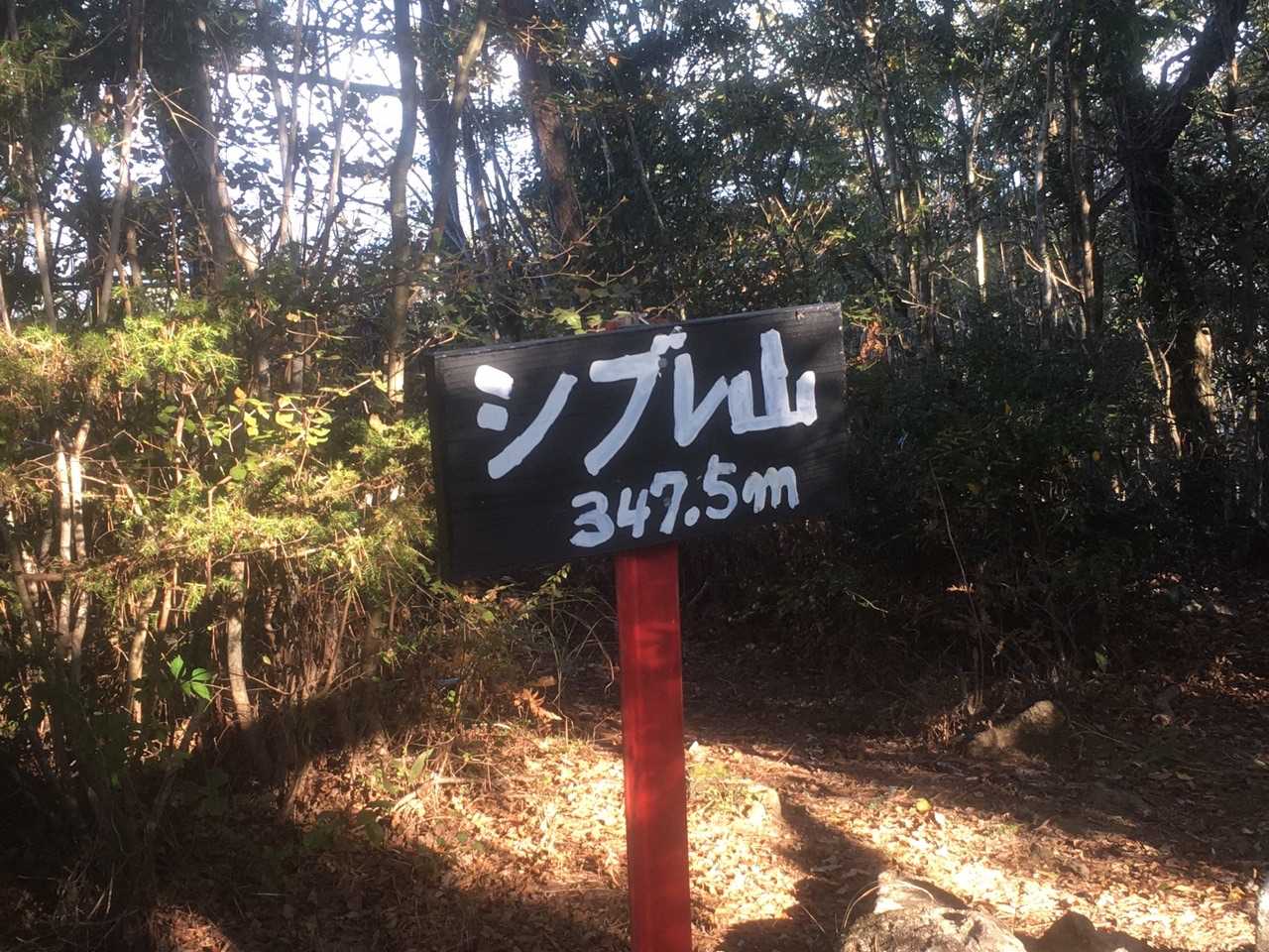 1座目はシブレ山🚩😎