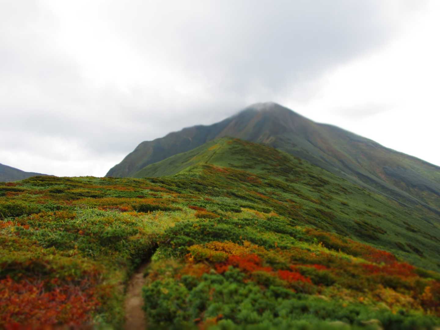 紅葉したロードがきれいでした。