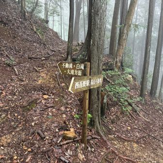 高山不動へ行く前に寄り道して不動三滝へ