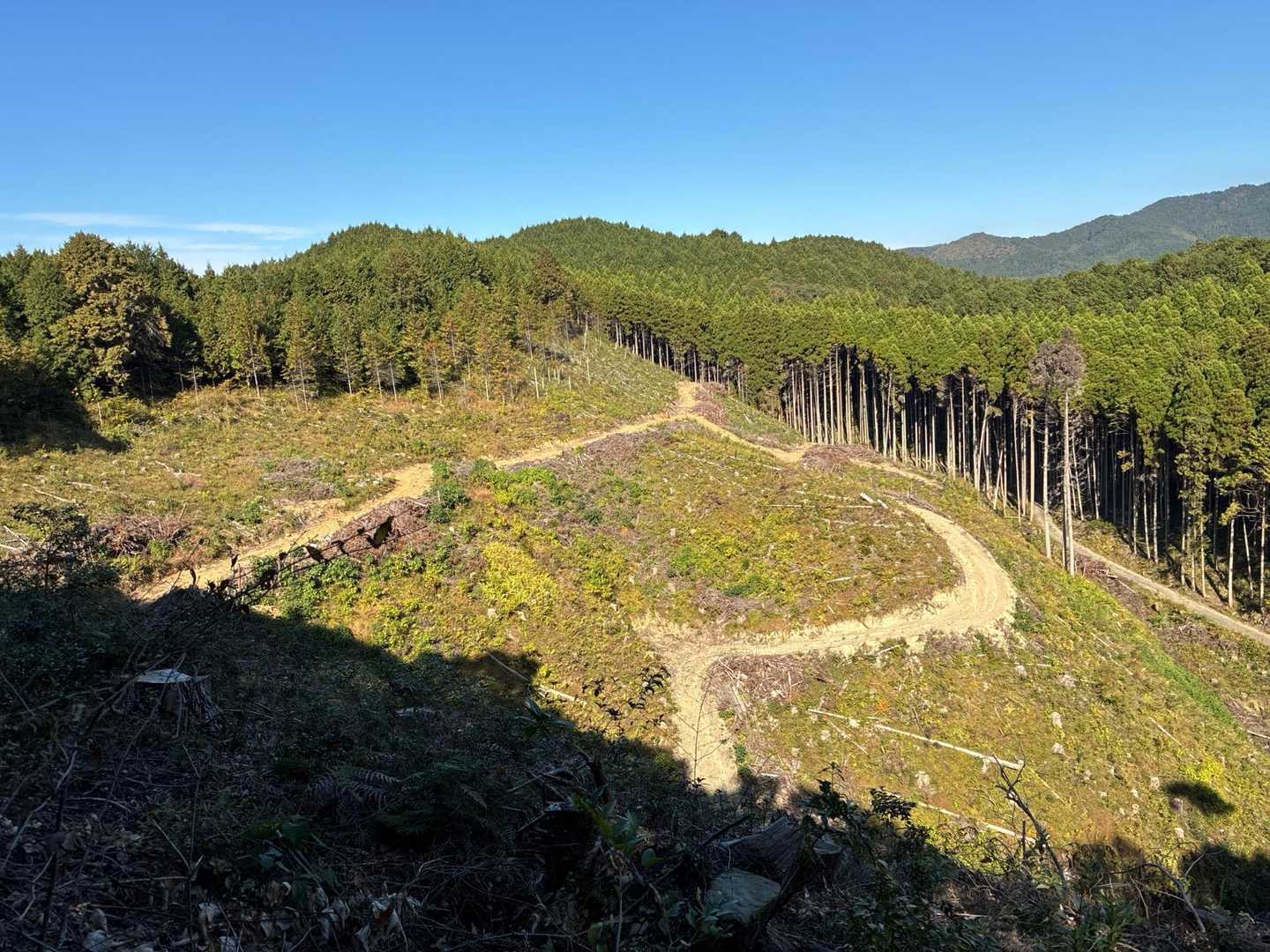 里山の再生よろしくお願いします🙇