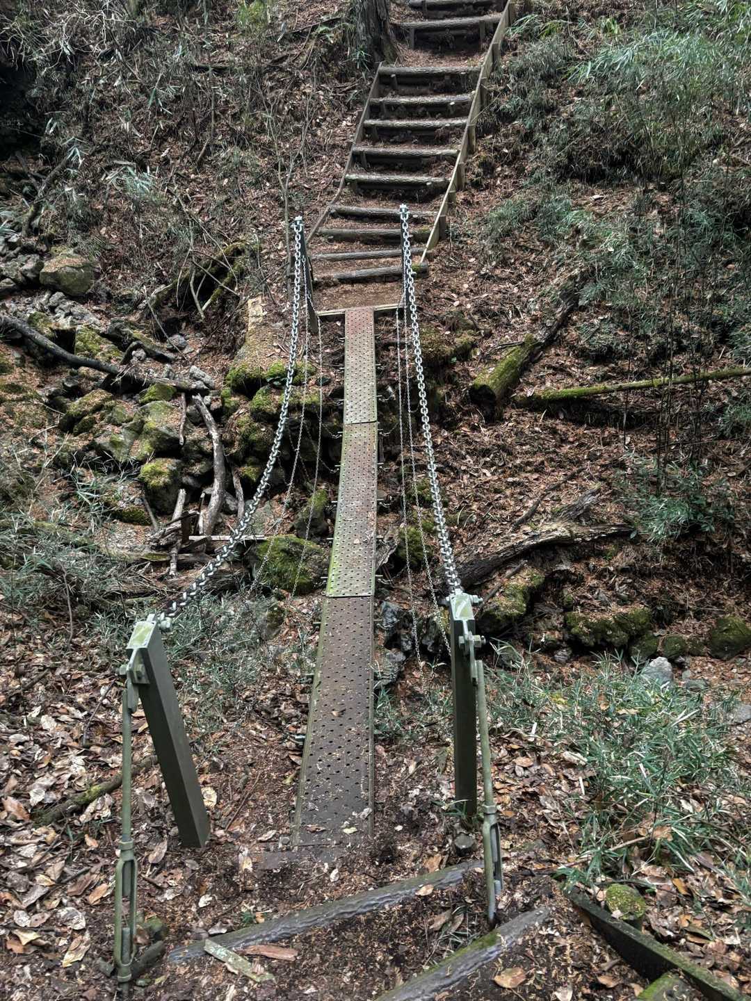 池の平-位牌岳 周回コースの写真