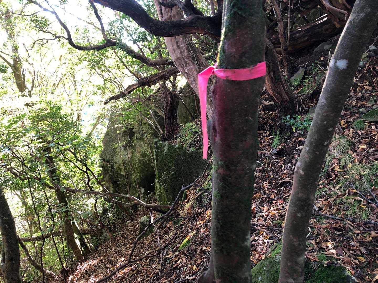 展望ポイントの先に進むとピンテ、これから先には進めなかったので右に回り込むか、左に回り込むか...左に少しくだってみたが諦めて撤退😫
