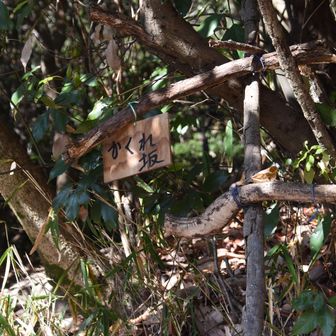 かくれ坂、到着、