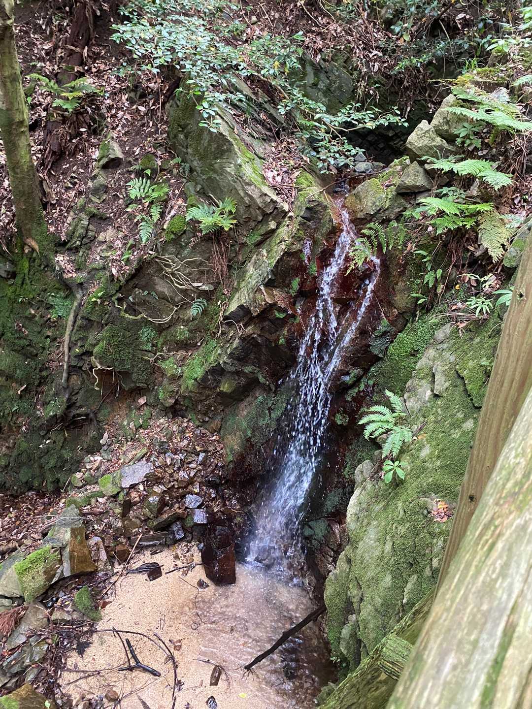 歌垣山登山口バス停-歌垣山-かがいの広場 往復コースの写真