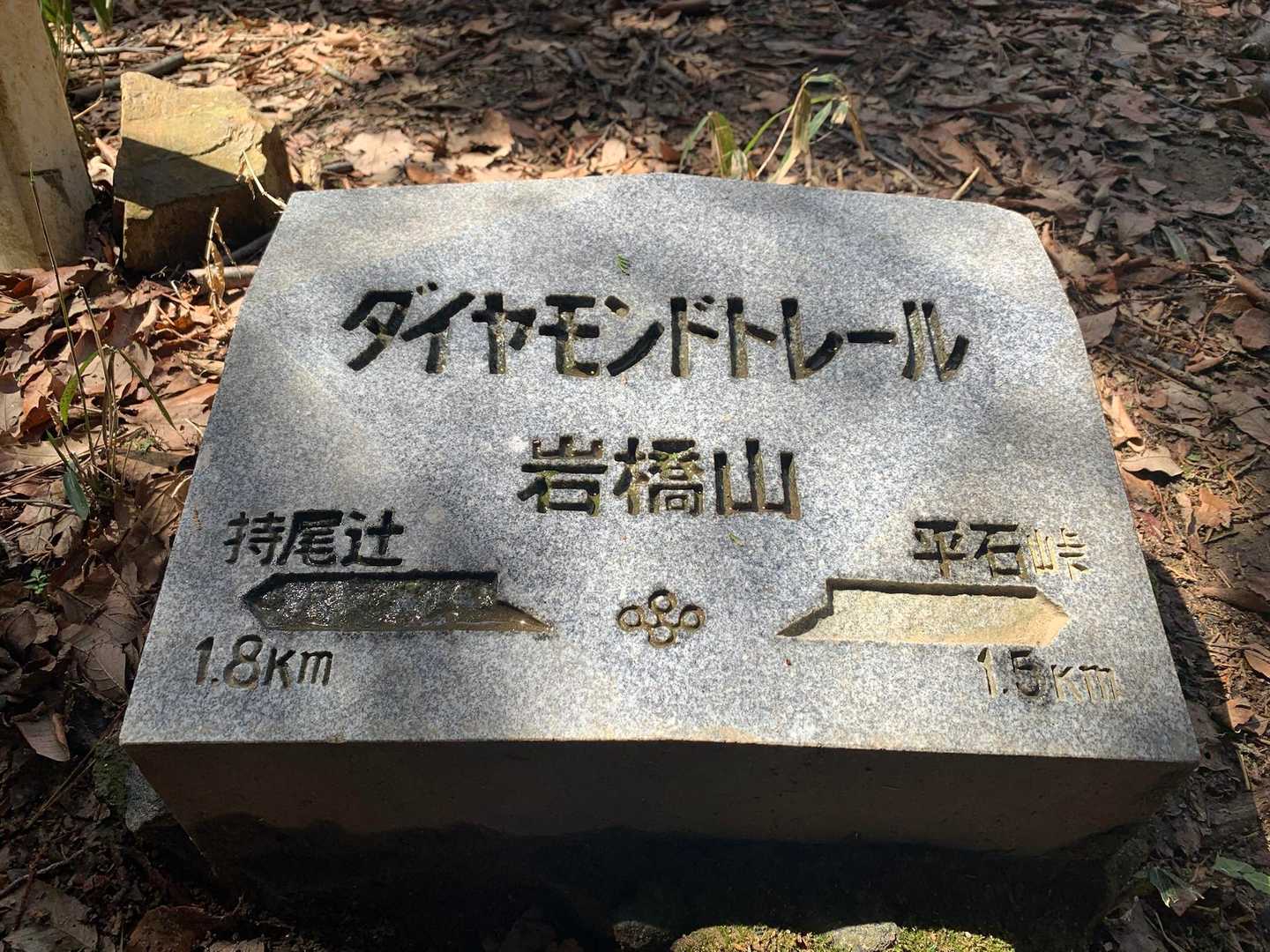 なかなか終わりの見えない階段を登り切ったらベンチのある広場に山頂標識&石版あり
ダイトレ石版：岩橋山
