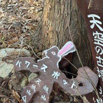 パワースポットだそうです