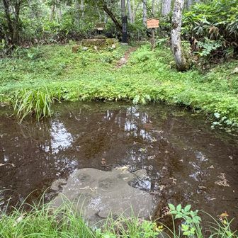 水がコンコンと湧き出ている