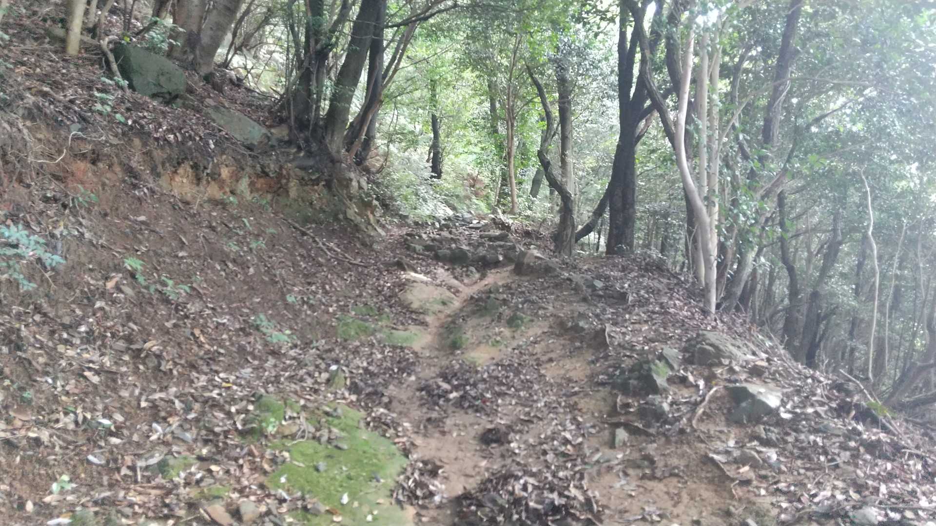ぶと🦟と蚊🦟以外は快適な山道です。