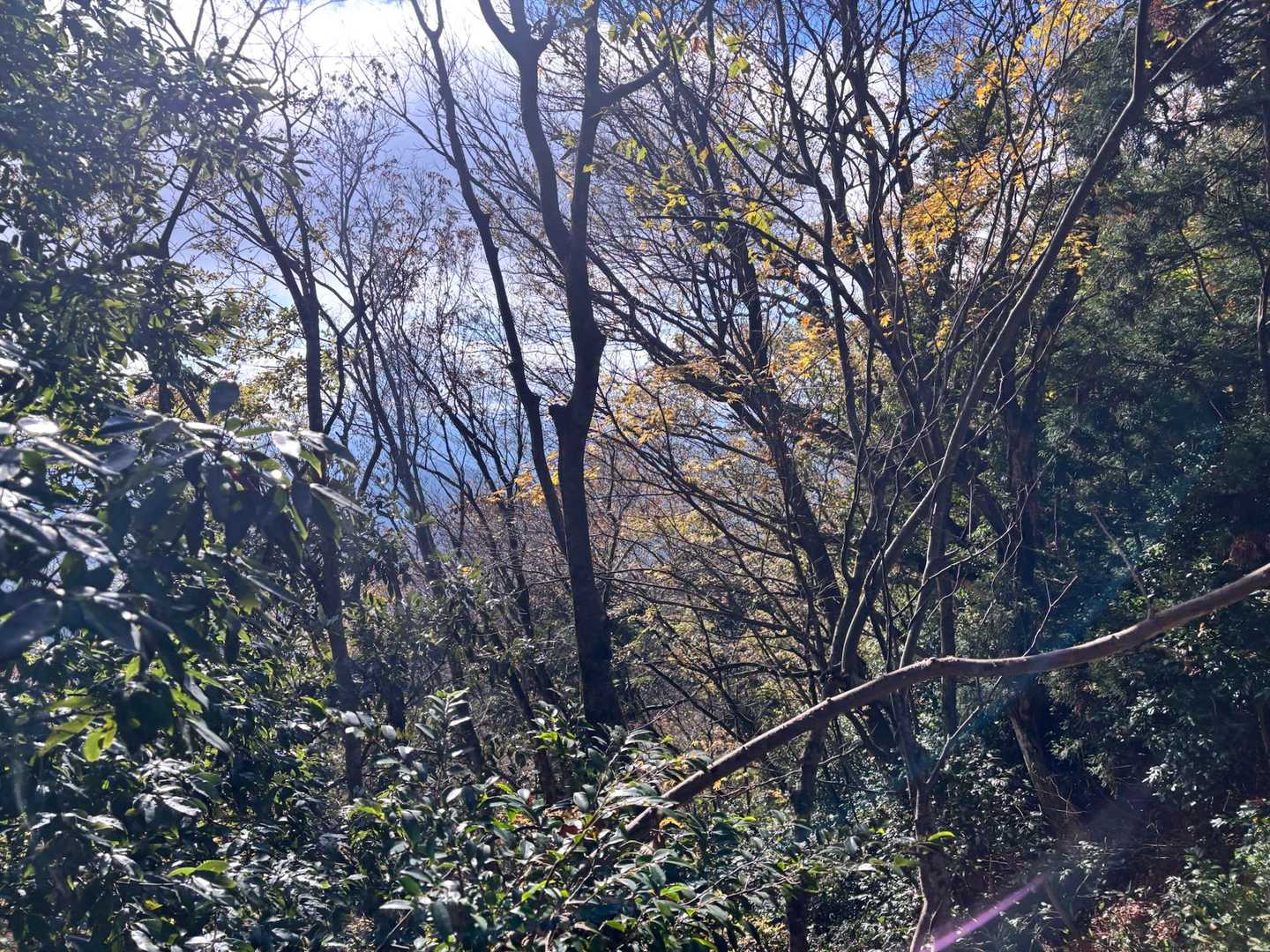 紅葉は大分落ちてた🍁👋