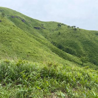 ⬆️山頂　↗️百畳岩
西尾根休憩小屋から📸