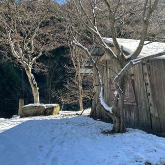 駐車場の1番端に小屋がありますが、トイレではありません。小屋の前の道路を渡った付近に、大段山への登山口があります。