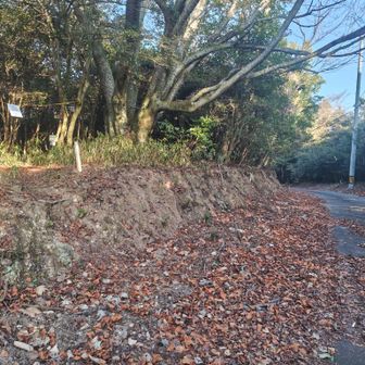 三角点は舗装道路のすぐ脇