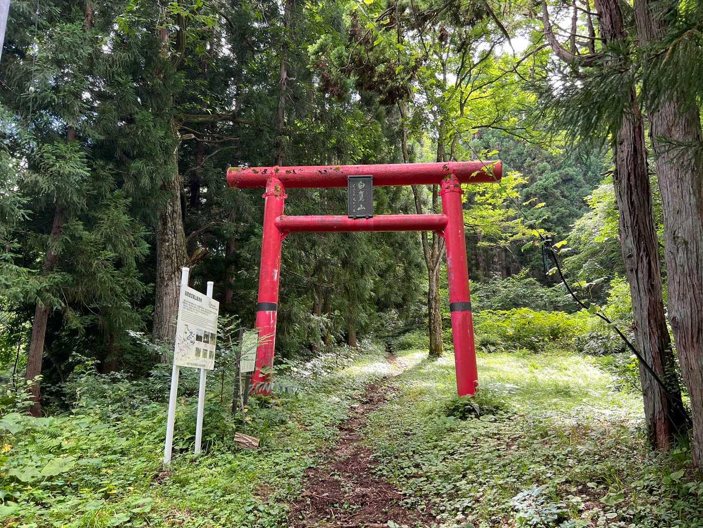 先行車1台あり。ここからレッツラゴー
