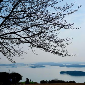 桜が咲いたらもっとサイコーだろうなぁ