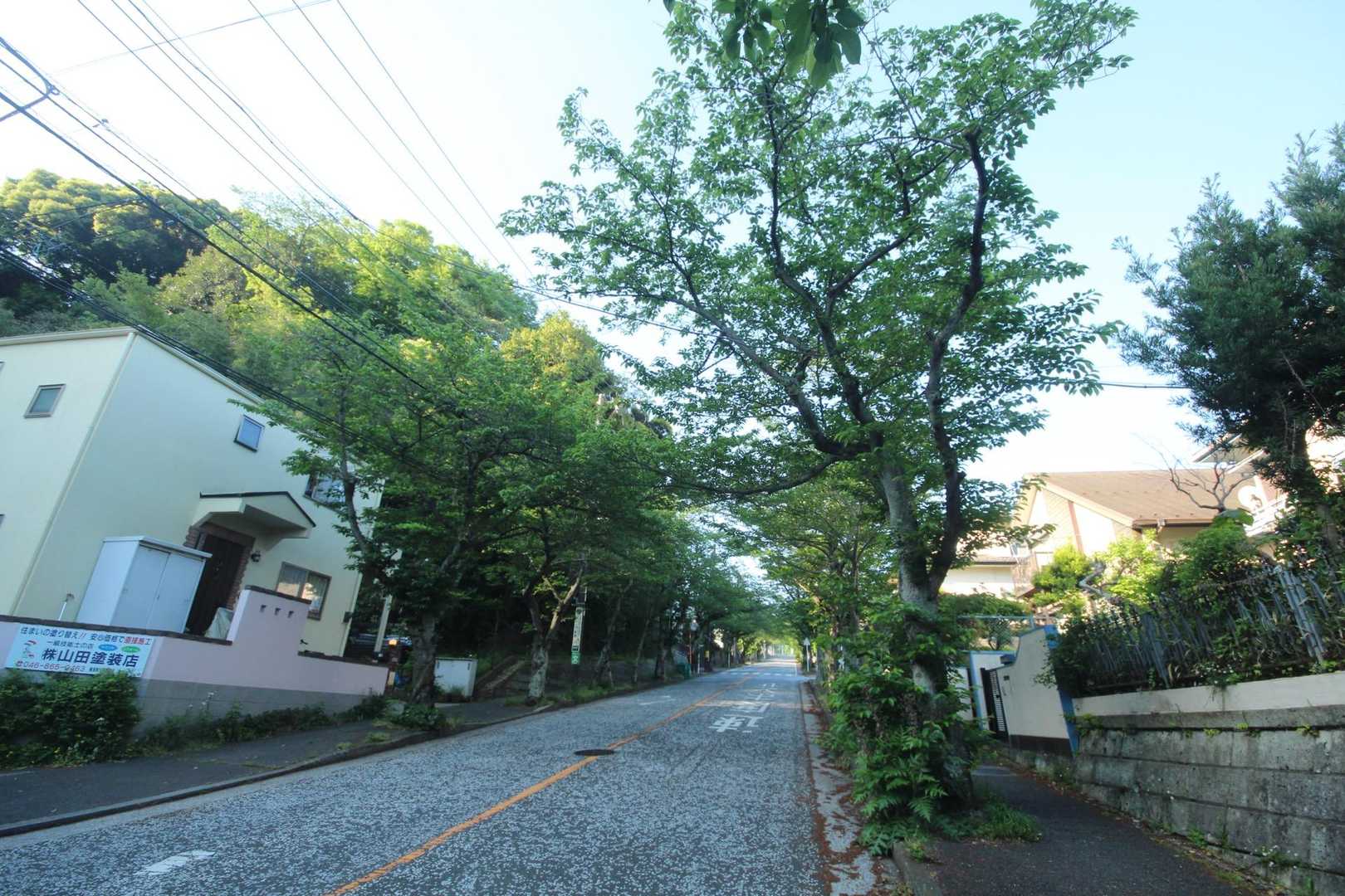 追浜駅から住宅地の桜並木の坂道をてくてく