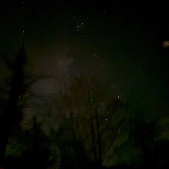 晩御飯の後、外に出てみたら晴れていました。
オリオン座。