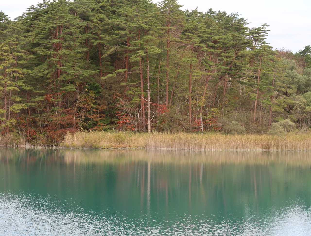 広い湖面に映える色づいた周辺の山々と、はるか遠くの赤く染まった吾妻連峰⛰とが見事な景観を織りなします👍
