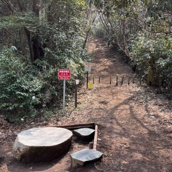 緩やかなアップダウンが多いのでトレイルランナーが多いです