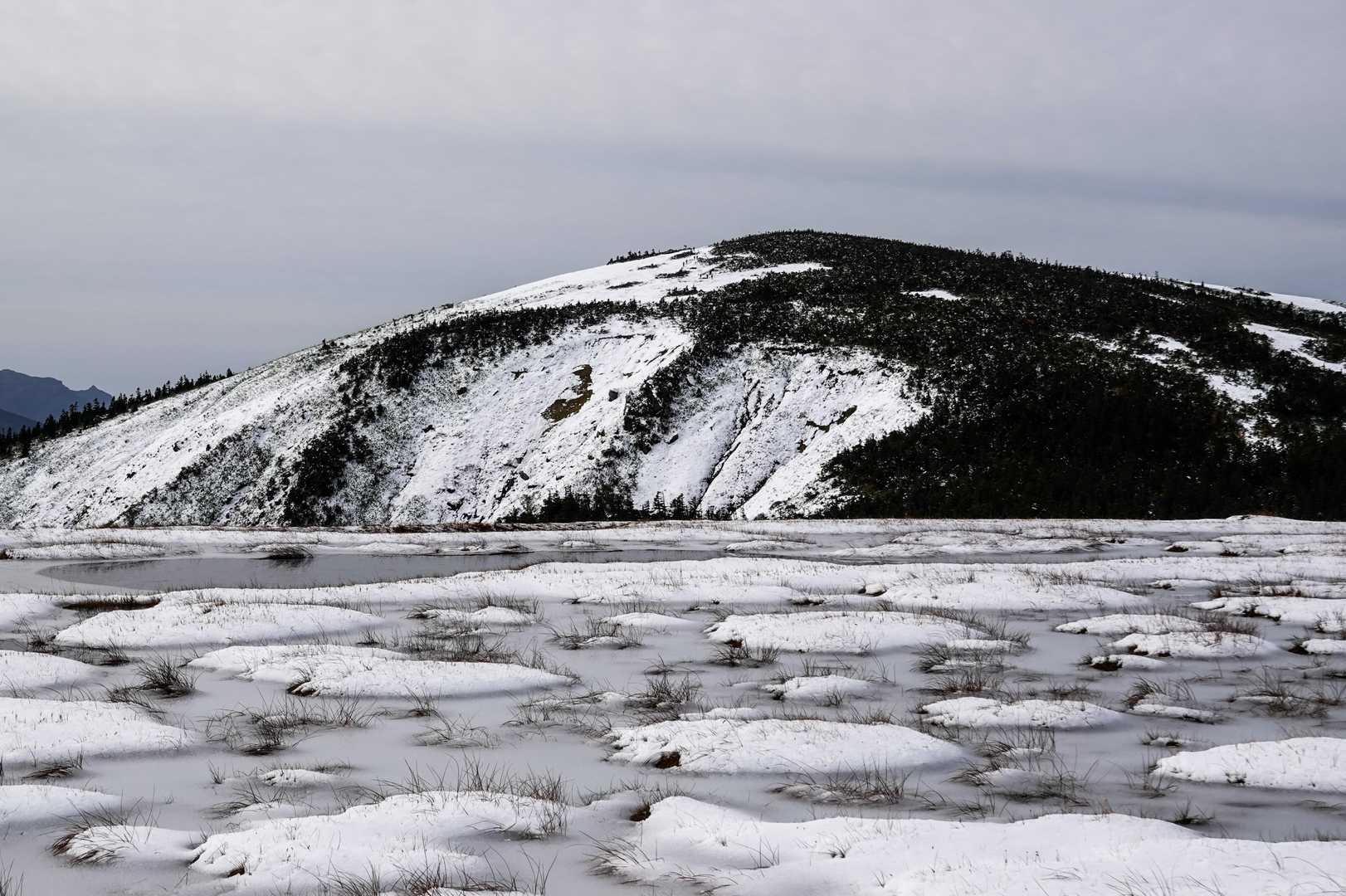 平ヶ岳登山口-台倉山-池ノ岳-平ヶ岳-玉子岩 往復コースの写真