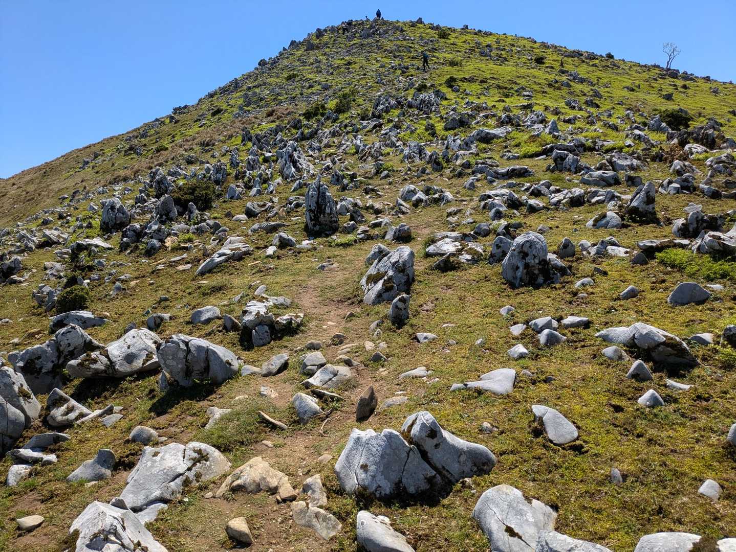 石灰岩が増えて来ました
経塚山を目指します💪