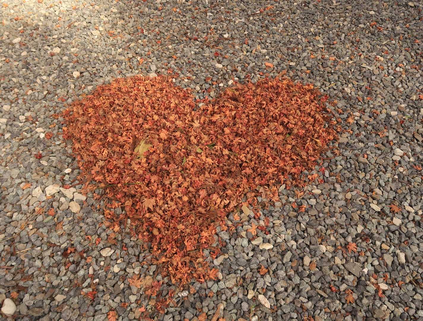 あった、ハート❤️