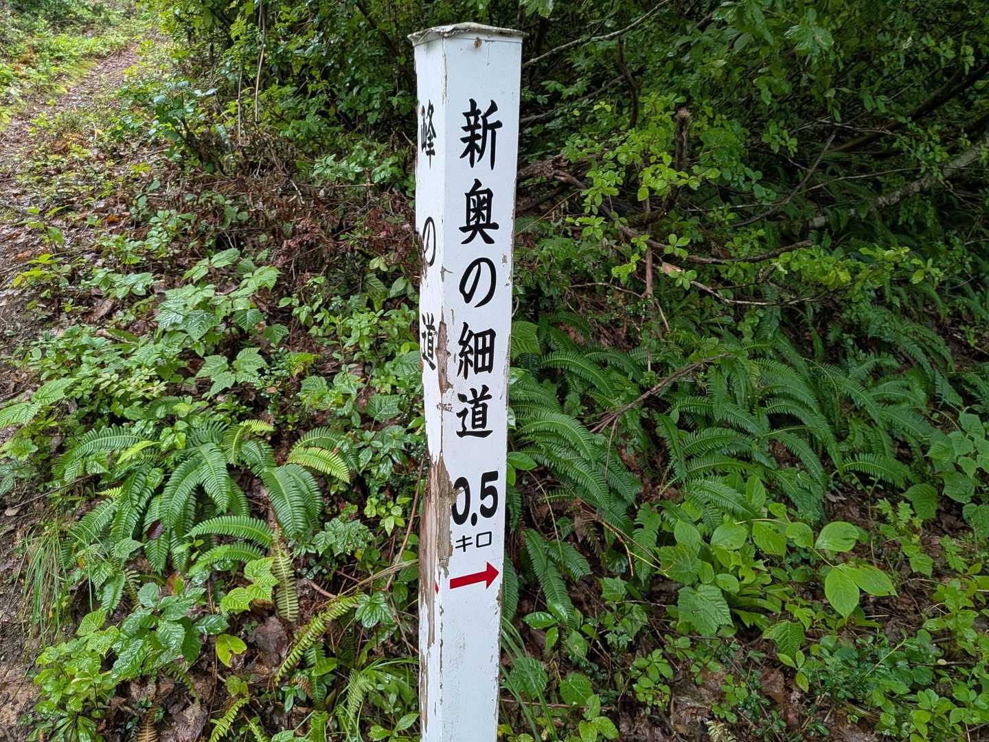 この杭のガジガジは、🐻だよね？