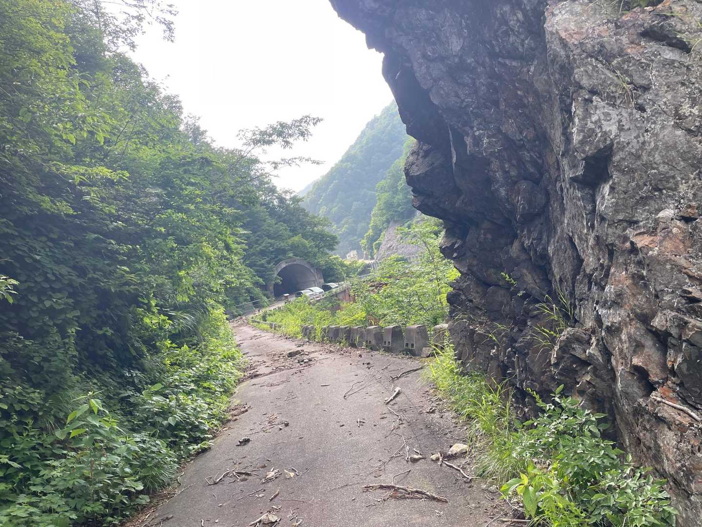 丹後山の稜線（登山道）は　整備が行き届き（花を残して刈る技術）👍　その思いが感じられ　楽しく（涼しく）歩く事が出来ました😊　なので行って来れたと思いますが　間もなく終わり　気づいたら　疲労感などが半端ない（残る）😅

丹後山　ありがとうございました🙇‍♂️