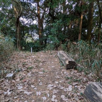 ここの山頂はベンチが有るけど景色は無かった…💦