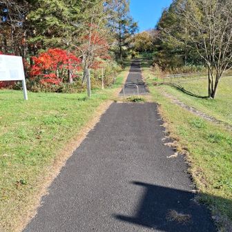 下山完了