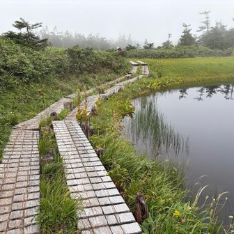 いい感じの木道歩き
