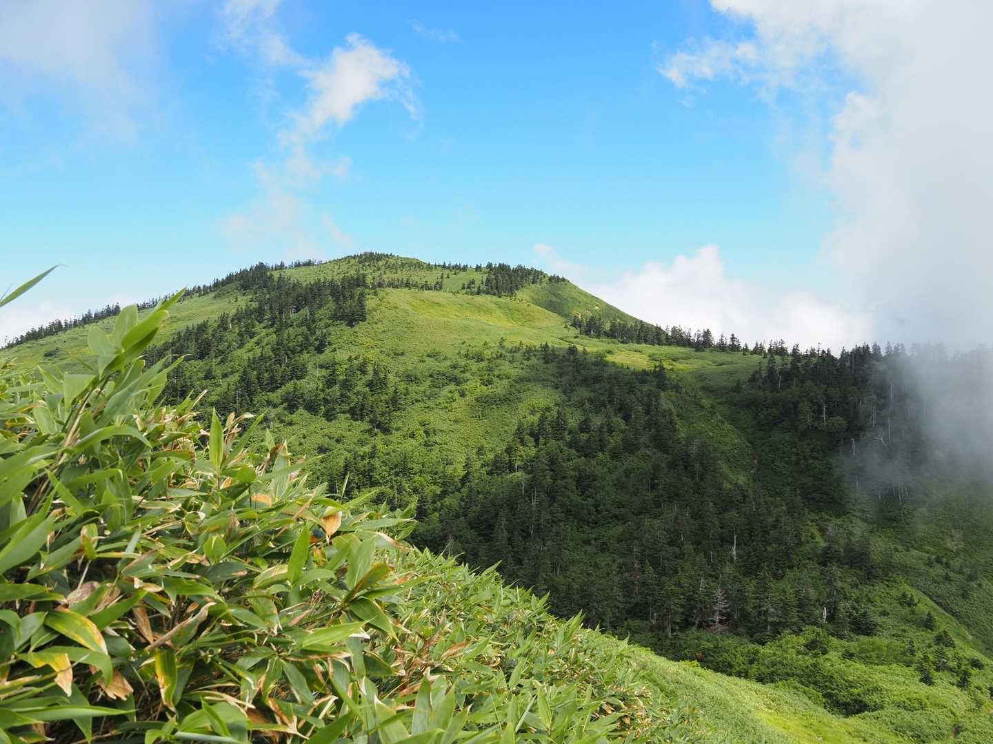 気持ち良い金山への稜線美✨