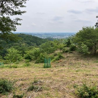 虚空蔵尊さくら山辺りは開けている。
ハイキングするにはいいエリアだと思う。
問題は熊対策。