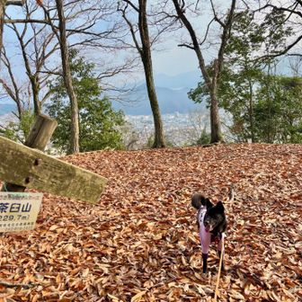 1️⃣｢茶臼山｣山頂🙌