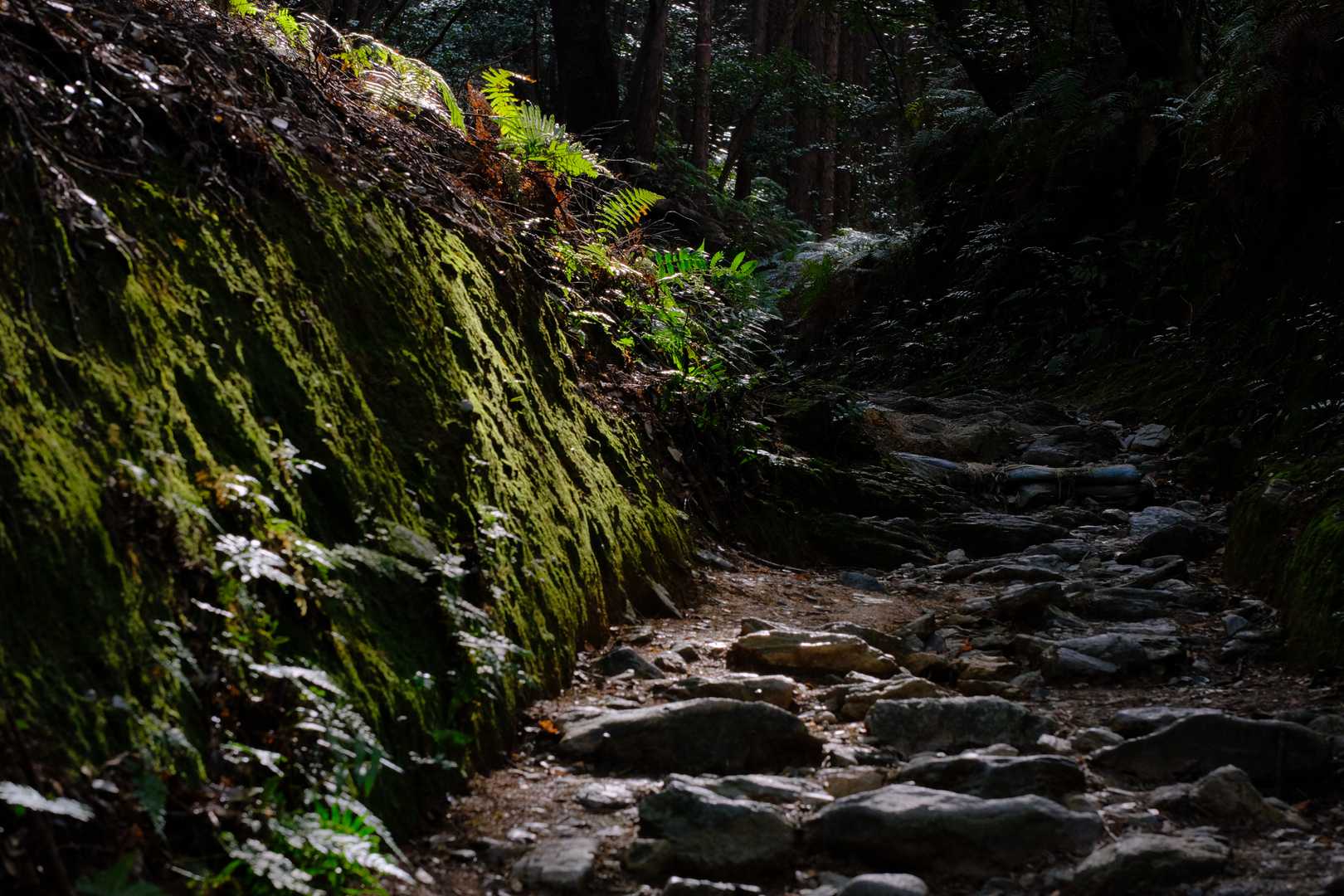 ぽちぽちと