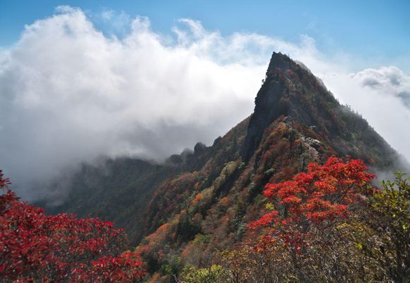石鎚山（愛媛・1972m）| 登山ルート・天気 | YAMAP / ヤマップ