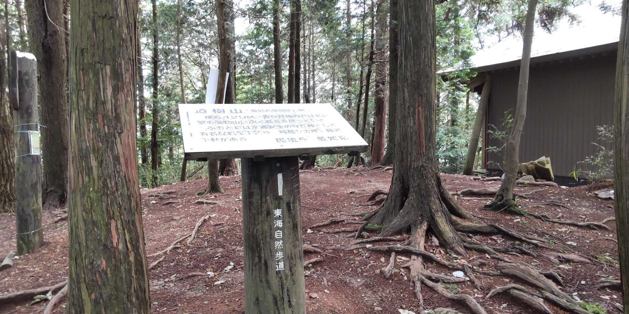 道樹山