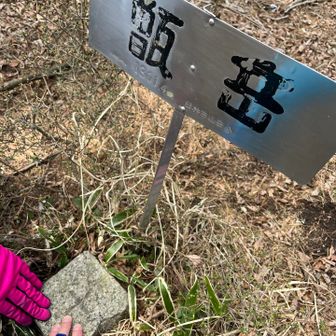 お鉢の反対方向にも標識と三角点が！
すかさずタッチ🖐️

ここから2時間かけて帰ります。