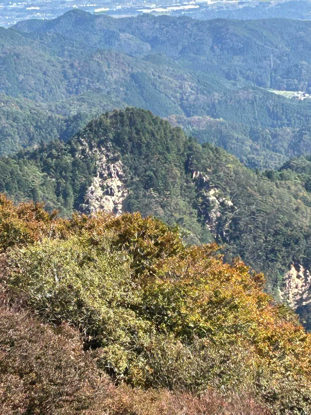 これも鬼ヶ牙