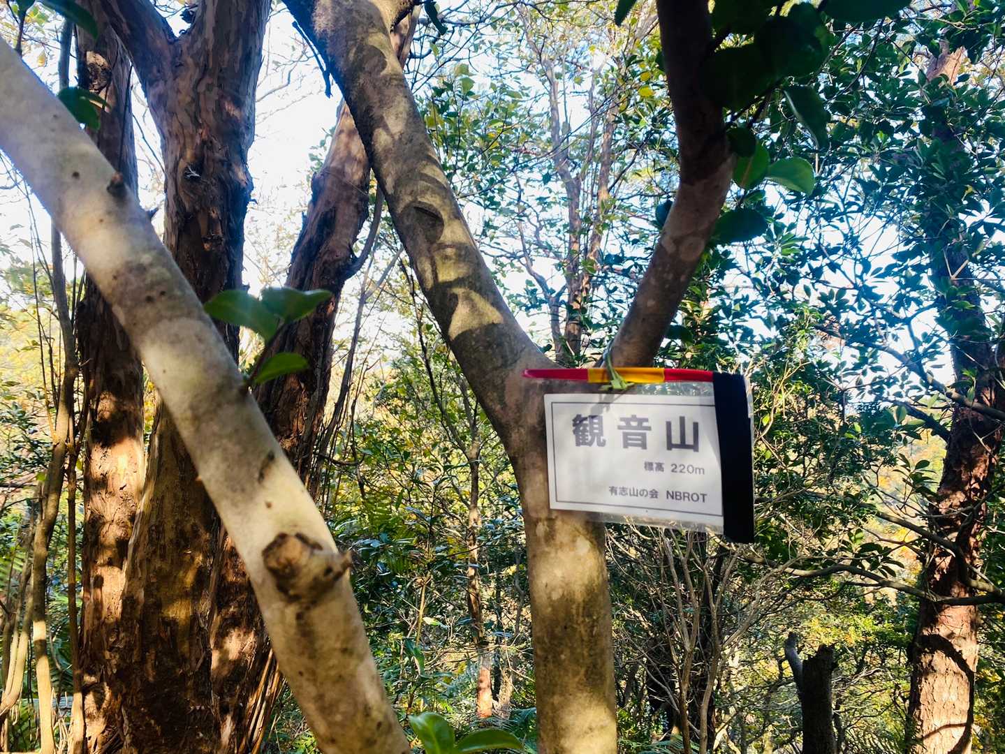 一つ目の山、やっと着いた観音山💦