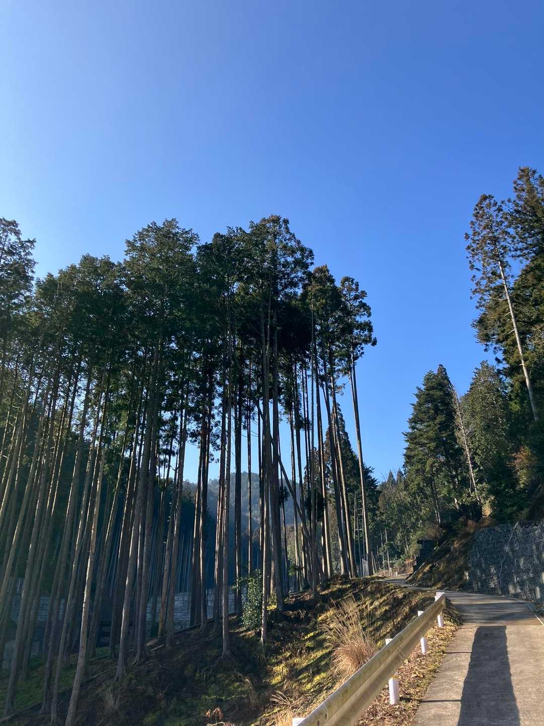 戸寺バス停-寒谷峠-瓢箪崩山 縦走コースの写真