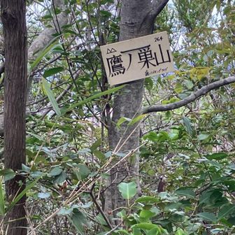 二座目？