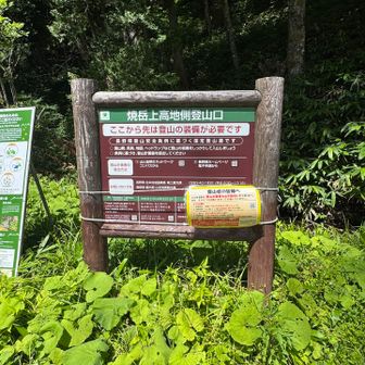 上高地ちゃーく