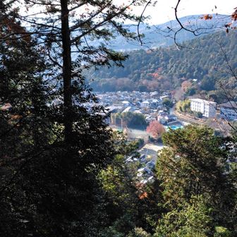 登り口の洛東高校見えます．