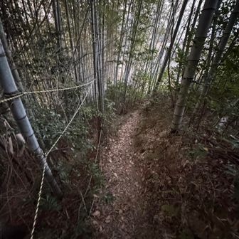 暗くなる前に下山