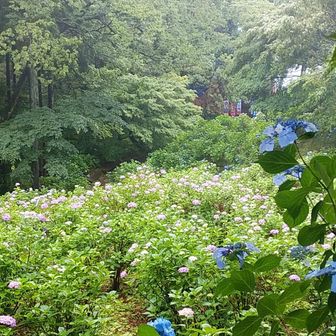 おなかが減ってきました。