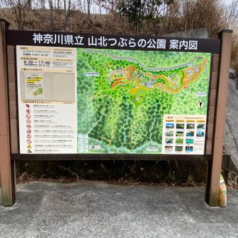山北つぶらの公園

新しくて遊具もたくさん
