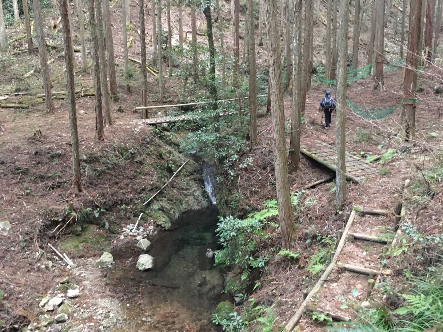 セラピー広場だった😳