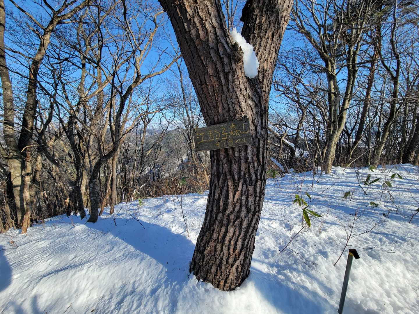 江釣子森山山頂